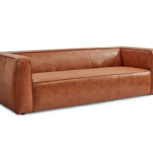 Leather couch